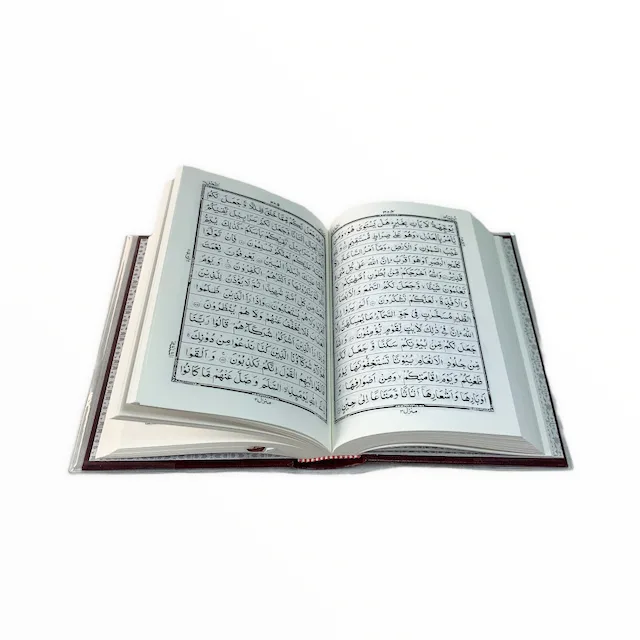 The Holy Quran in Arabic